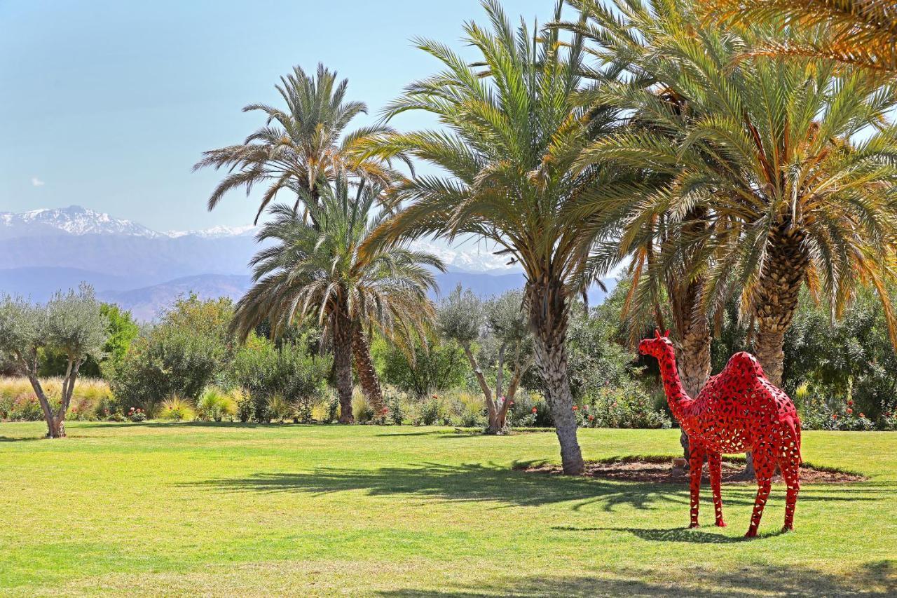 Dar Noujoum Otel Ait Bou Zguia Dış mekan fotoğraf